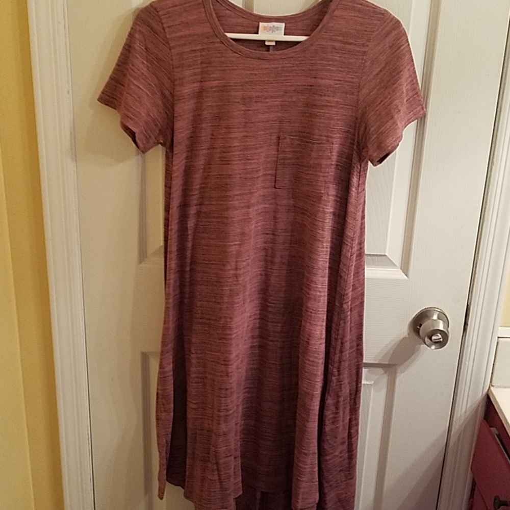 LulaRoe pink with black microstripe xs carly